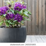 畅享套路回放网页版,轻松回顾精彩瞬间 1xud0