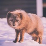 纸牌游戏空当接龙经典版:畅享经典乐趣,挑战你的智力极限! 5y5e03wo