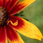 畅享布丁漫画网页版:海量漫画随时随地在线阅读 6vm73