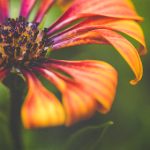 畅享奇漫屋漫画免费阅读,探索无限精彩故事 7ehill0r