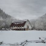 畅享天堂漫画官网入口,免费观看海量精彩漫画 cfwbd