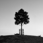 纽约时报官网:获取最新国际新闻与深度报道的最佳平台 fn2x1f